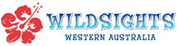 wildsights logo
